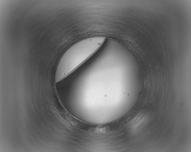 X0000056350647200508260921