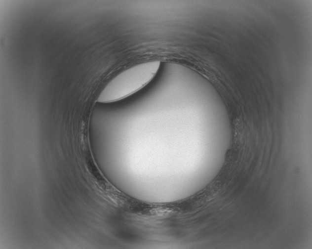 X0000056350650200508260921