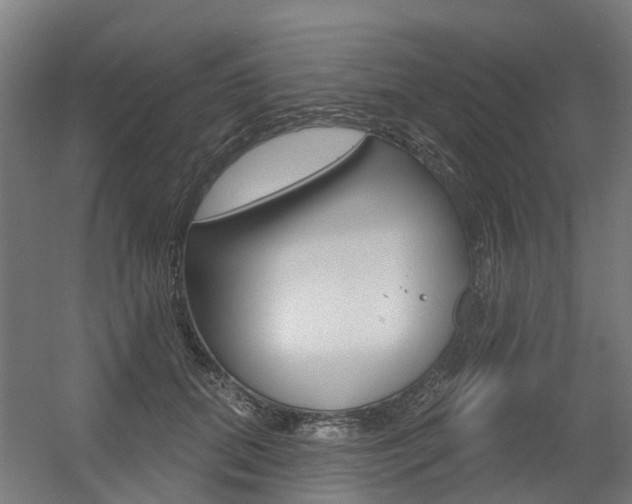 X0000056350655200508260921