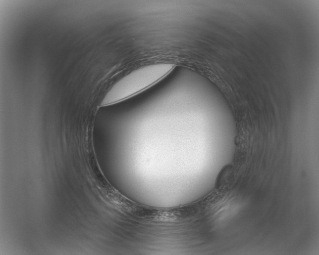 X0000056350656200508260921