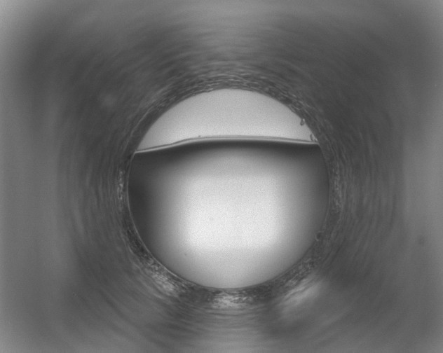 X0000056350657200508260921