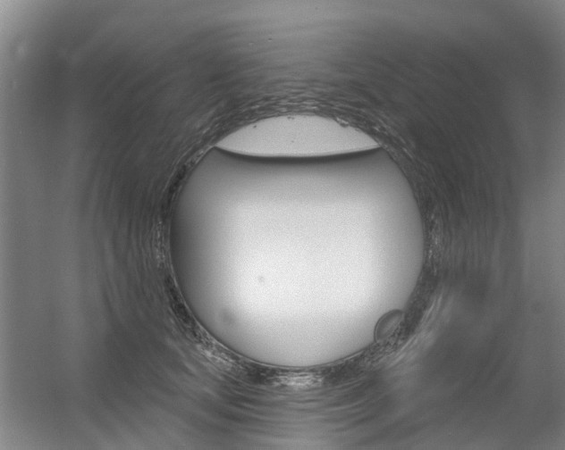 X0000056350659200508260921