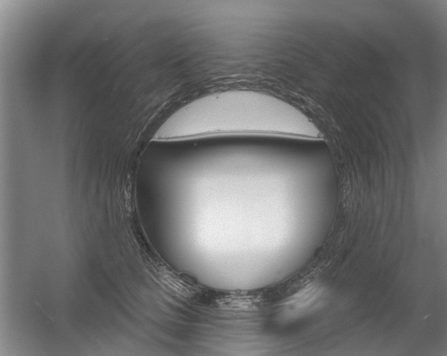 X0000056350661200508260921