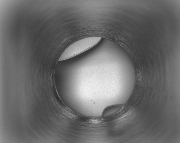 X0000056350662200508260921