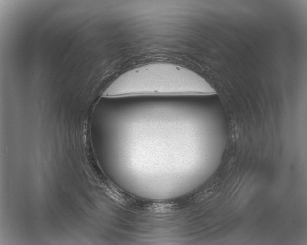 X0000056350664200508260921
