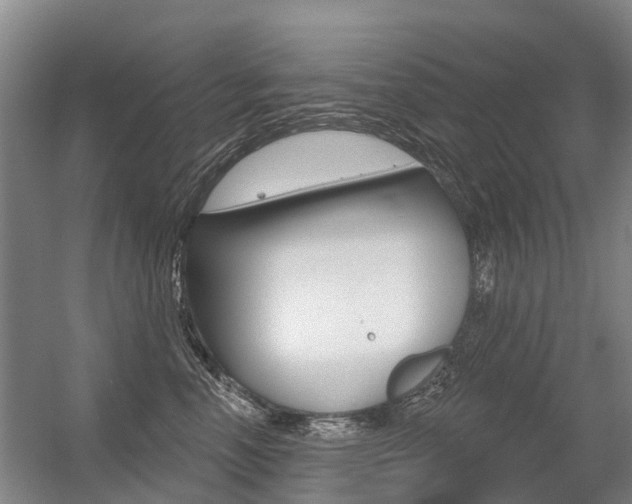X0000056350666200508260921