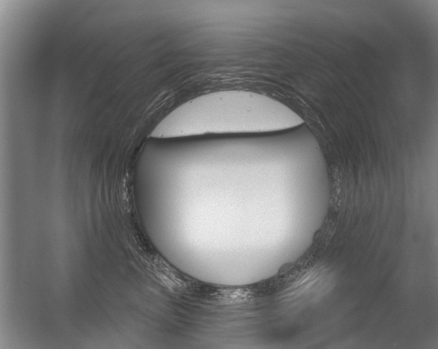 X0000056350667200508260921