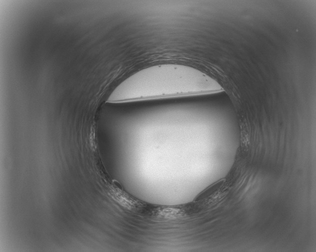 X0000056350669200508260921