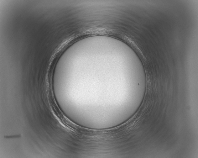 X0000056350674200508260920