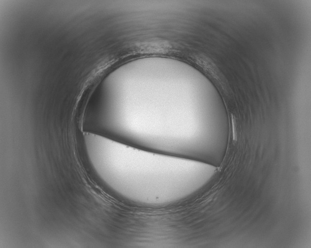 X0000056350675200508260920