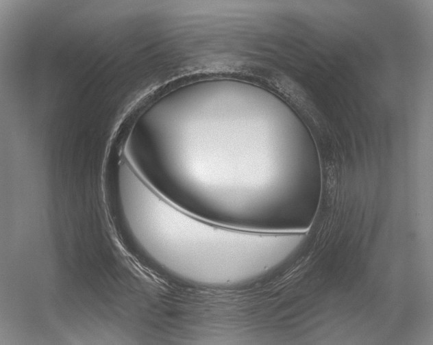 X0000056350676200508260920