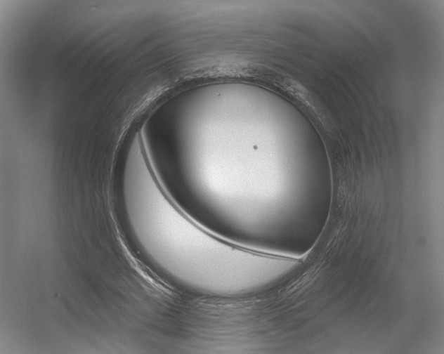 X0000056350677200508260920