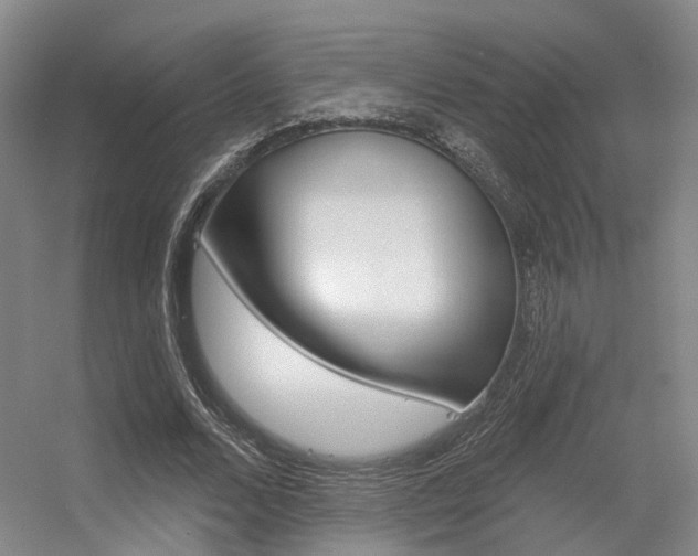 X0000056350680200508260920