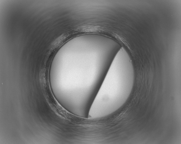 X0000056350682200508260920