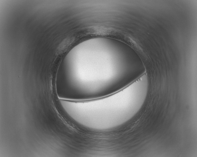X0000056350685200508260920