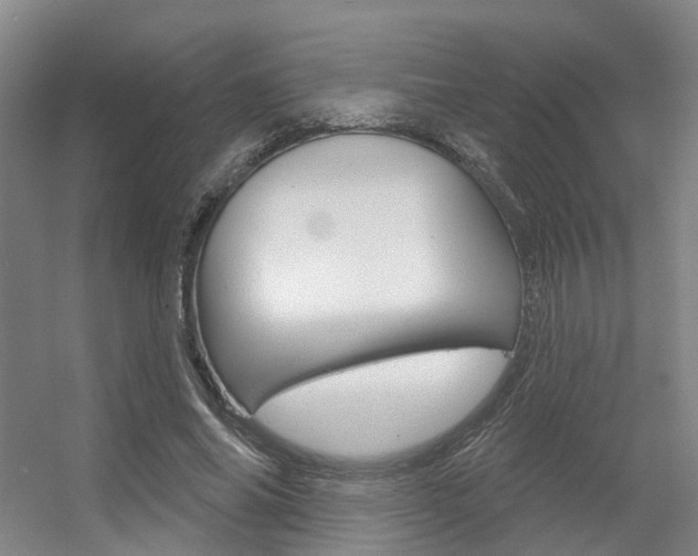X0000056350686200508260920