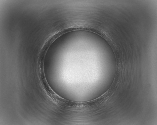 X0000056350688200508260920