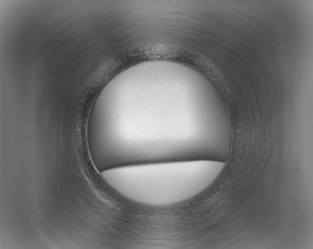 X0000056350690200508260920