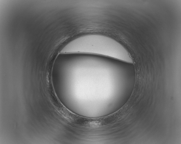 X0000056350692200508260920