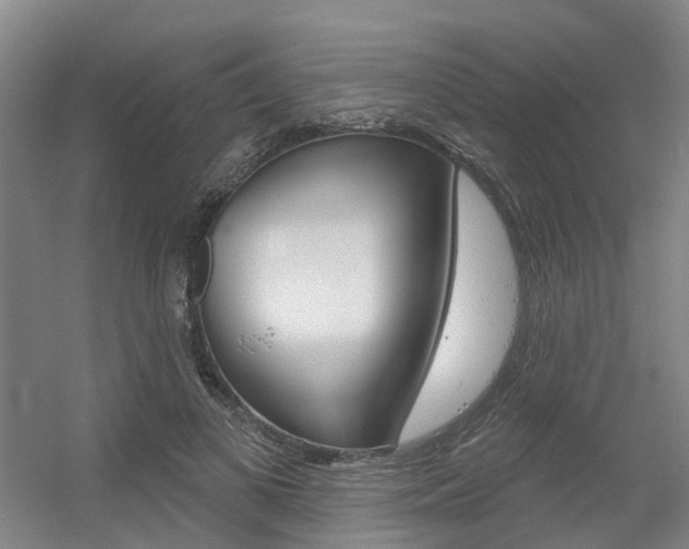 X0000056350693200508260920