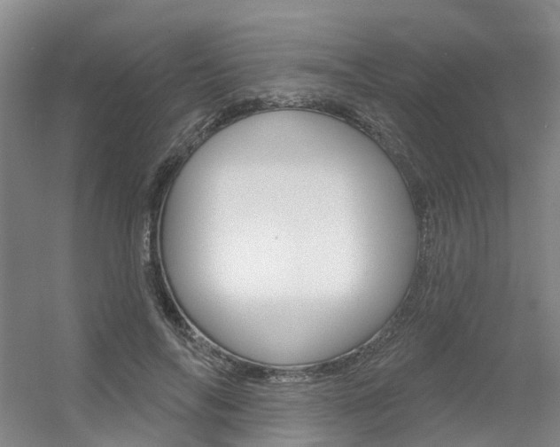 X0000056350694200508260920