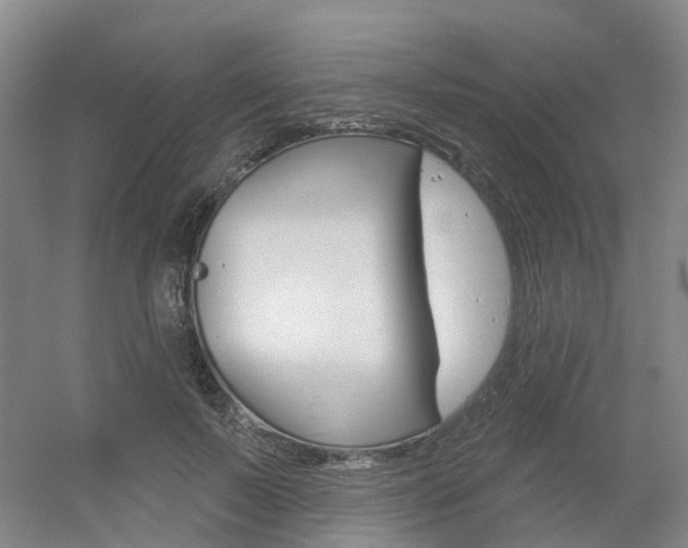 X0000056350695200508260920
