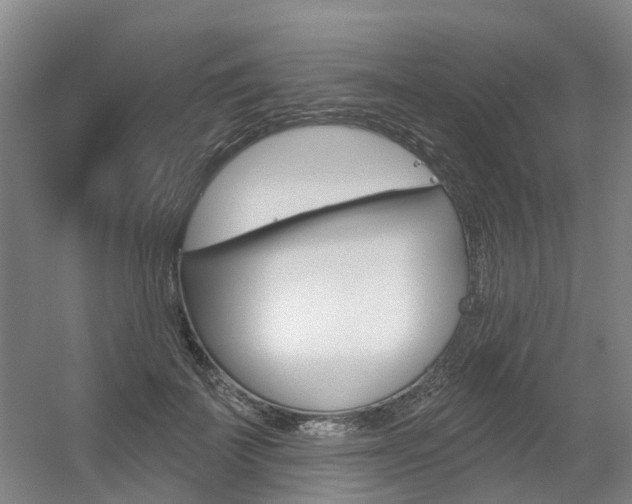 X0000056350699200508260920