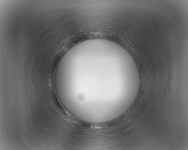 X0000056350706200508260920