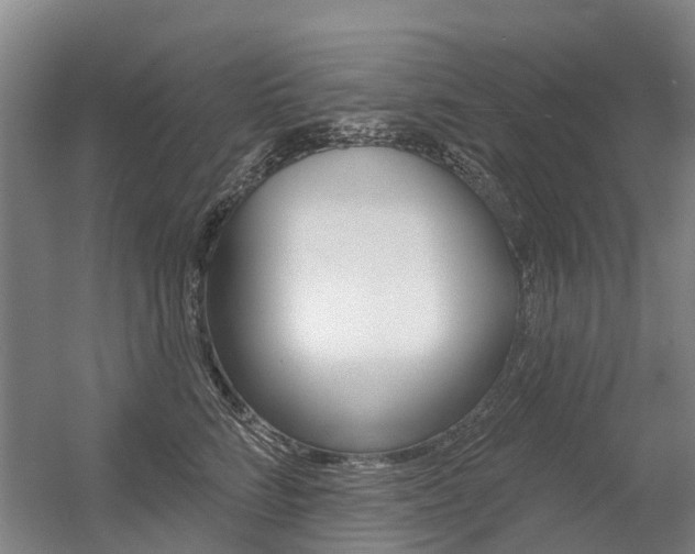 X0000056350712200508260920