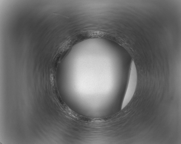 X0000056350716200508260920