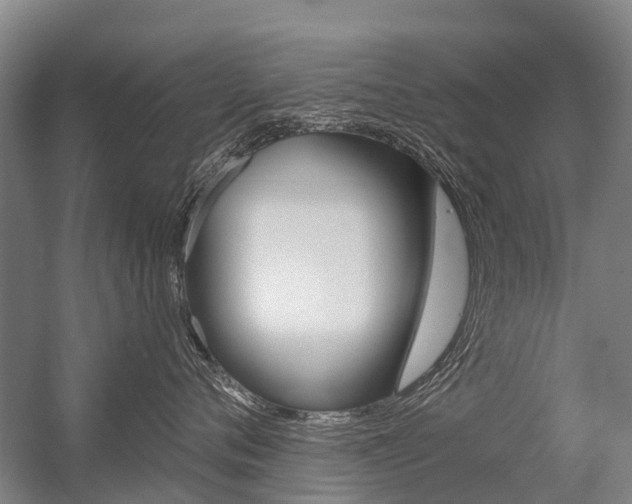 X0000056350720200508260920