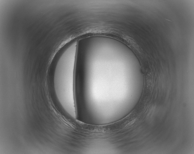 X0000056350727200508260919