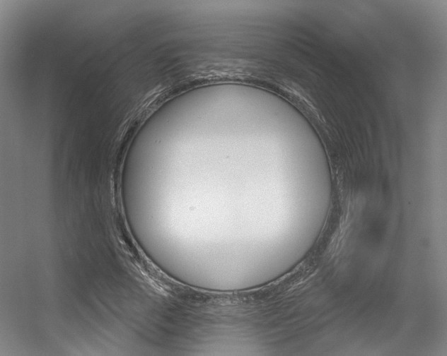 X0000056350729200508260919