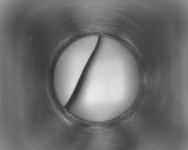 X0000056350733200508260919