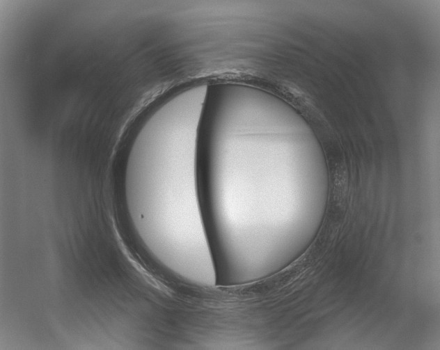 X0000056350734200508260919