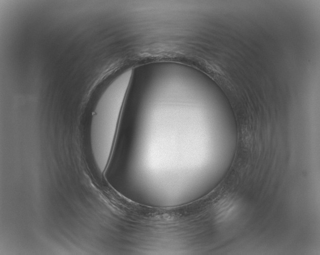 X0000056350735200508260919