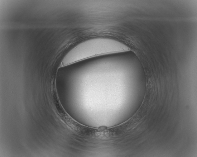 X0000056350744200508260919