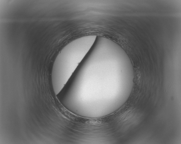 X0000056350745200508260919