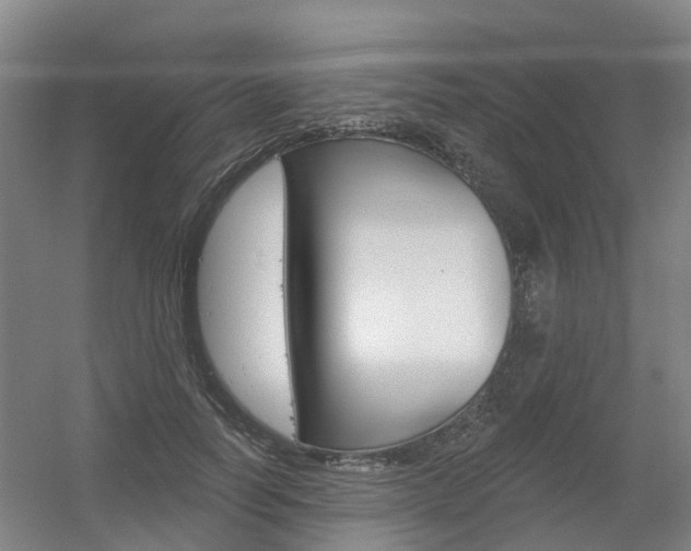 X0000056350746200508260919