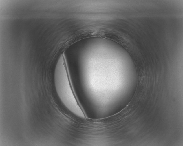 X0000056350748200508260919