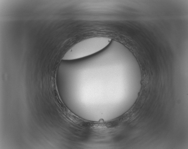 X0000056350749200508260919