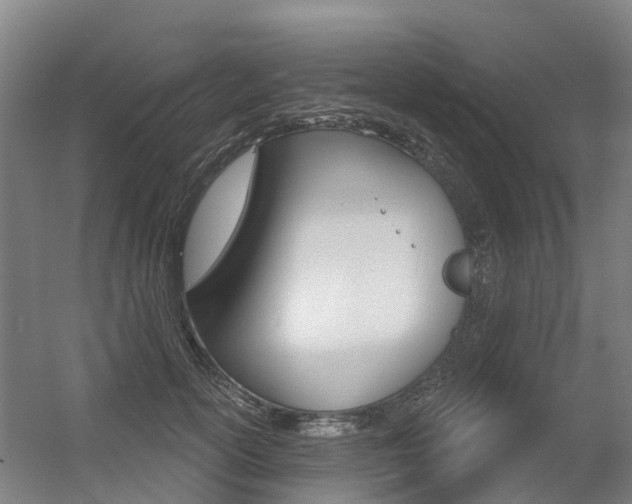 X0000056350754200508260919