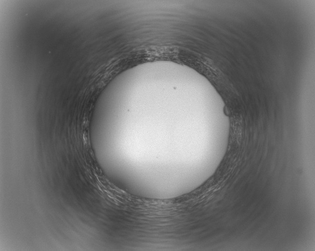 X0000056350770200508260919