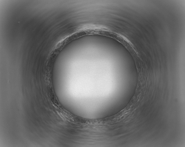 X0000056350775200508260919