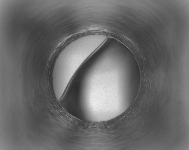 X0000056350776200508260919