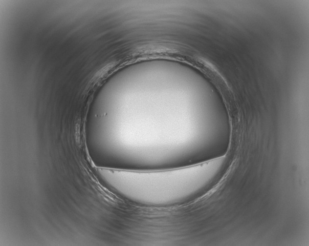 X0000056350777200508260919
