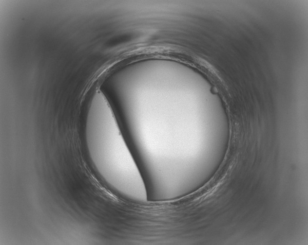 X0000056350778200508260919