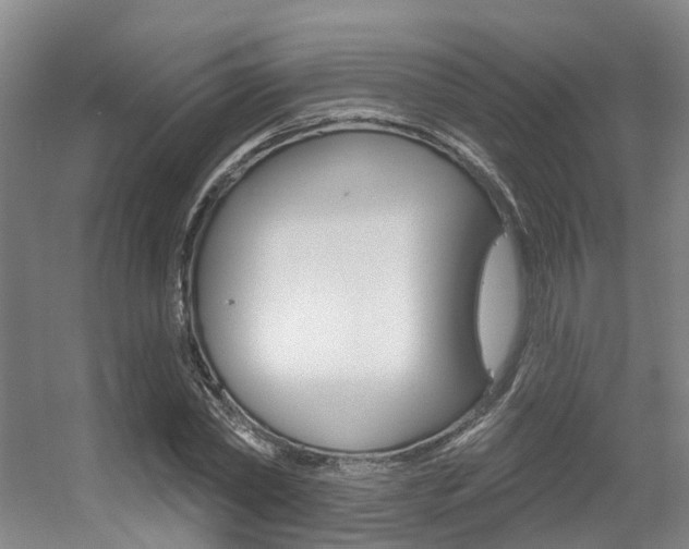 X0000056350782200508260919