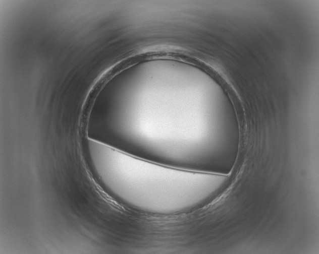 X0000056350783200508260919