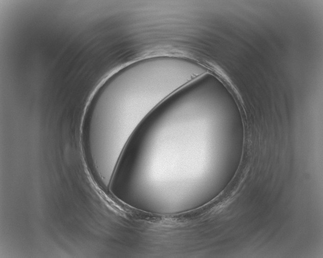 X0000056350787200508260919